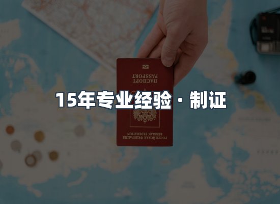 证件页面制证展示